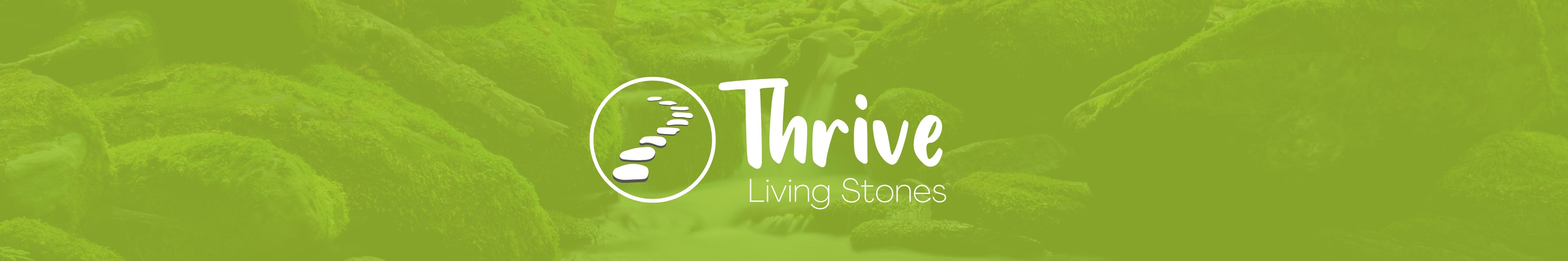 Thrive Group Living Stones banner